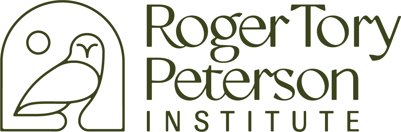 RTPI